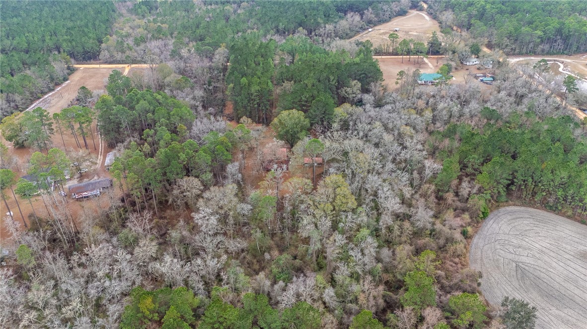 1670 Beaver Dam Road Odum, GA 31555 - Photo 39 of 70