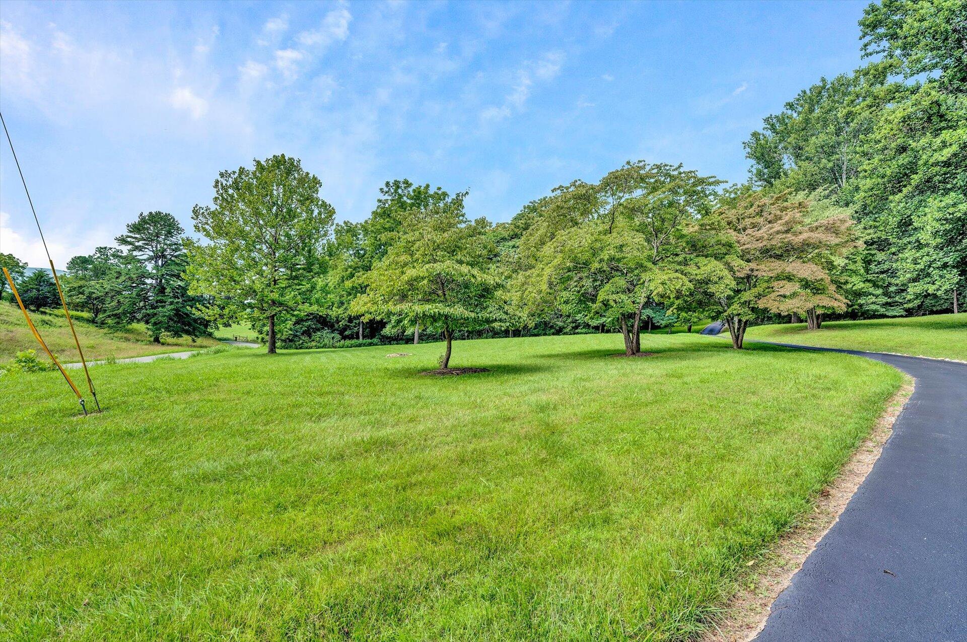 658 Hardbarger Road Buchanan, VA 24066 - Photo 7 of 75 59-072520230101
