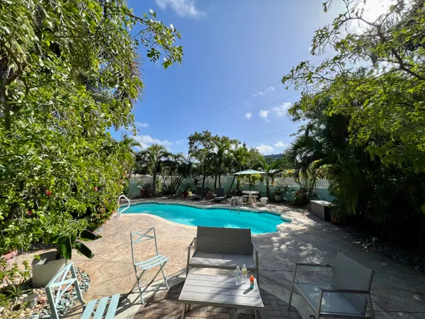 a view of a yard with plants and a lawn chair