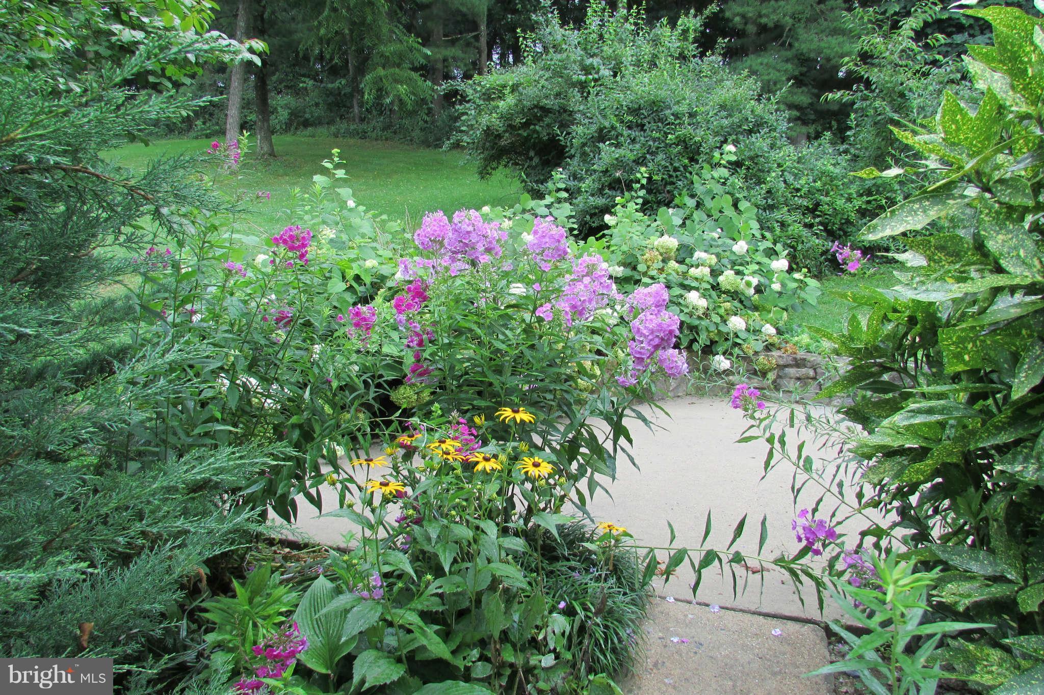 9217 Baltimore Road Frederick, MD 21704 - Photo 25 of 26 Something is always in bloom spring thru fall