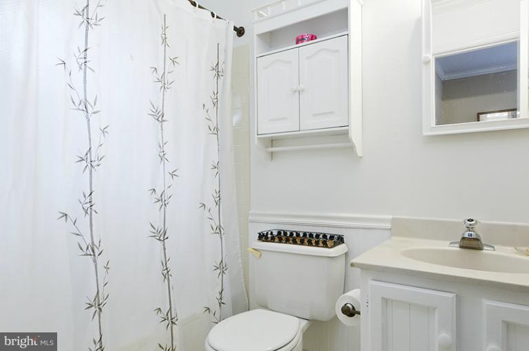 11051 Bishopsgate Court Reston, VA 20194 - Photo 16 of 22 Bath (Master)