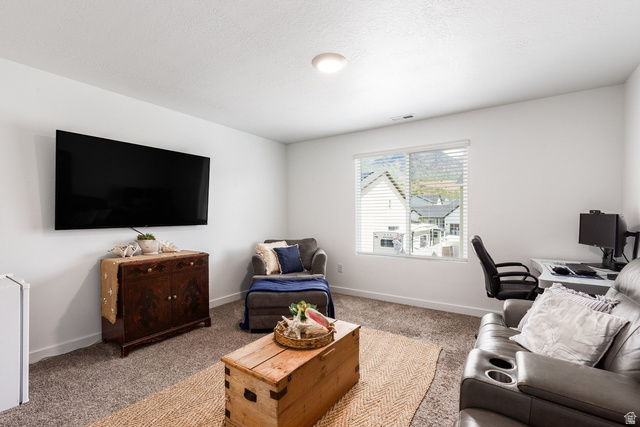 1219 South Raintree Lane West Santaquin, UT 84655 - Photo 21 of 34