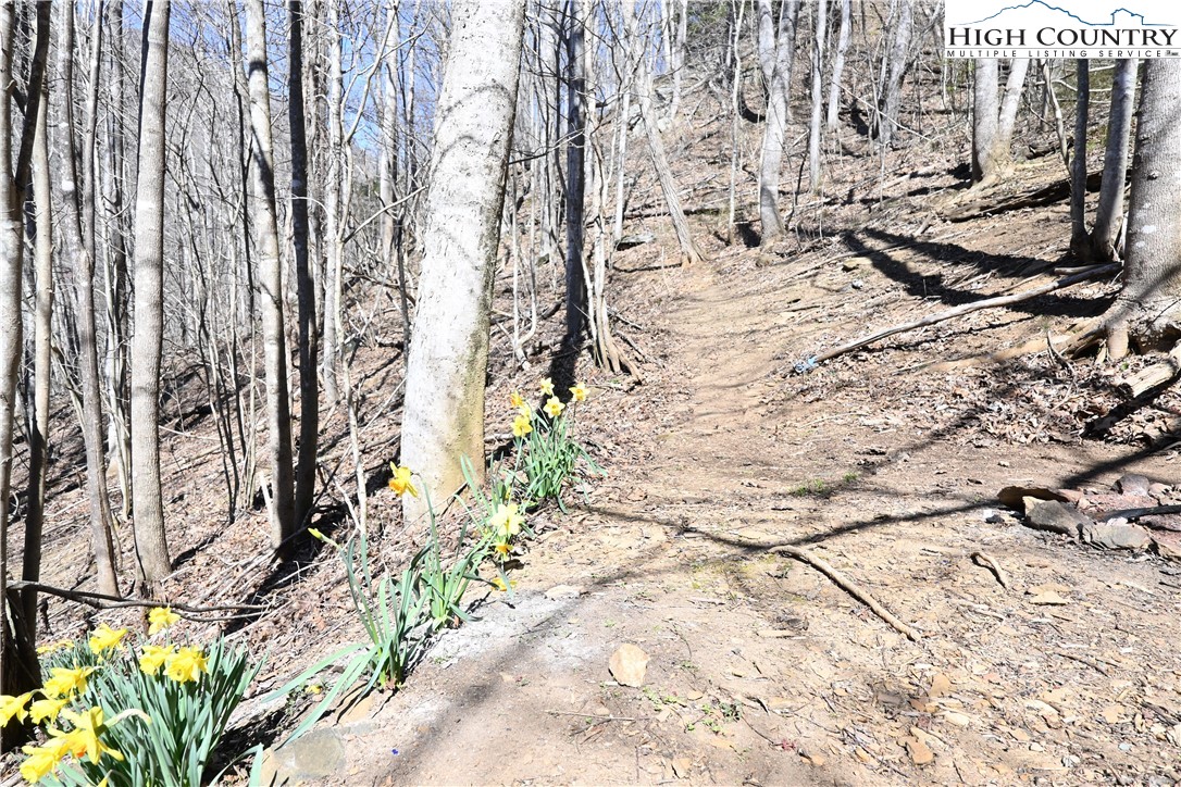 2701 3 Top Road Creston, NC 28615 - Photo 27 of 27 Gallery Image 27