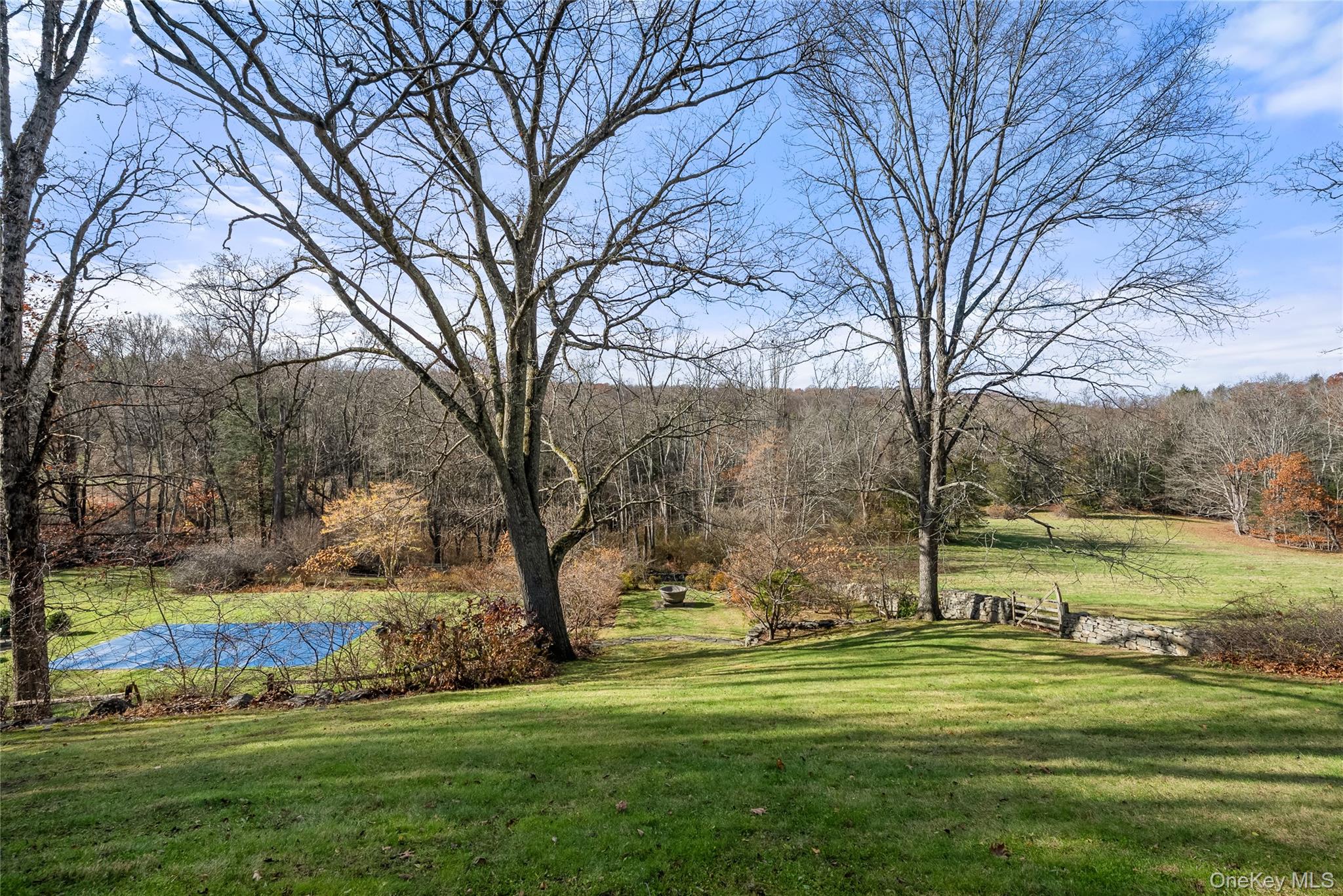 448 Long Ridge Road Pound Ridge, NY 10576 - Photo 48 of 49 View of green lawn featuring a view of trees and pool