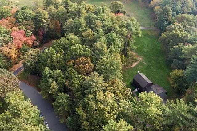 an outdoor space with lots of trees