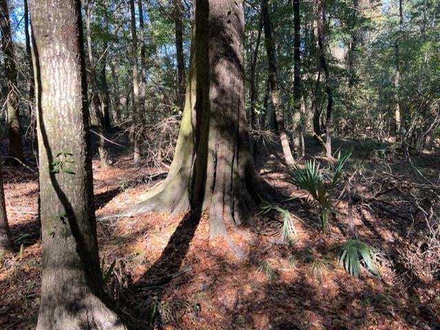 0 Unnamed Road Florala, AL 36442 - Photo 32 of 39 Gallery Image 32