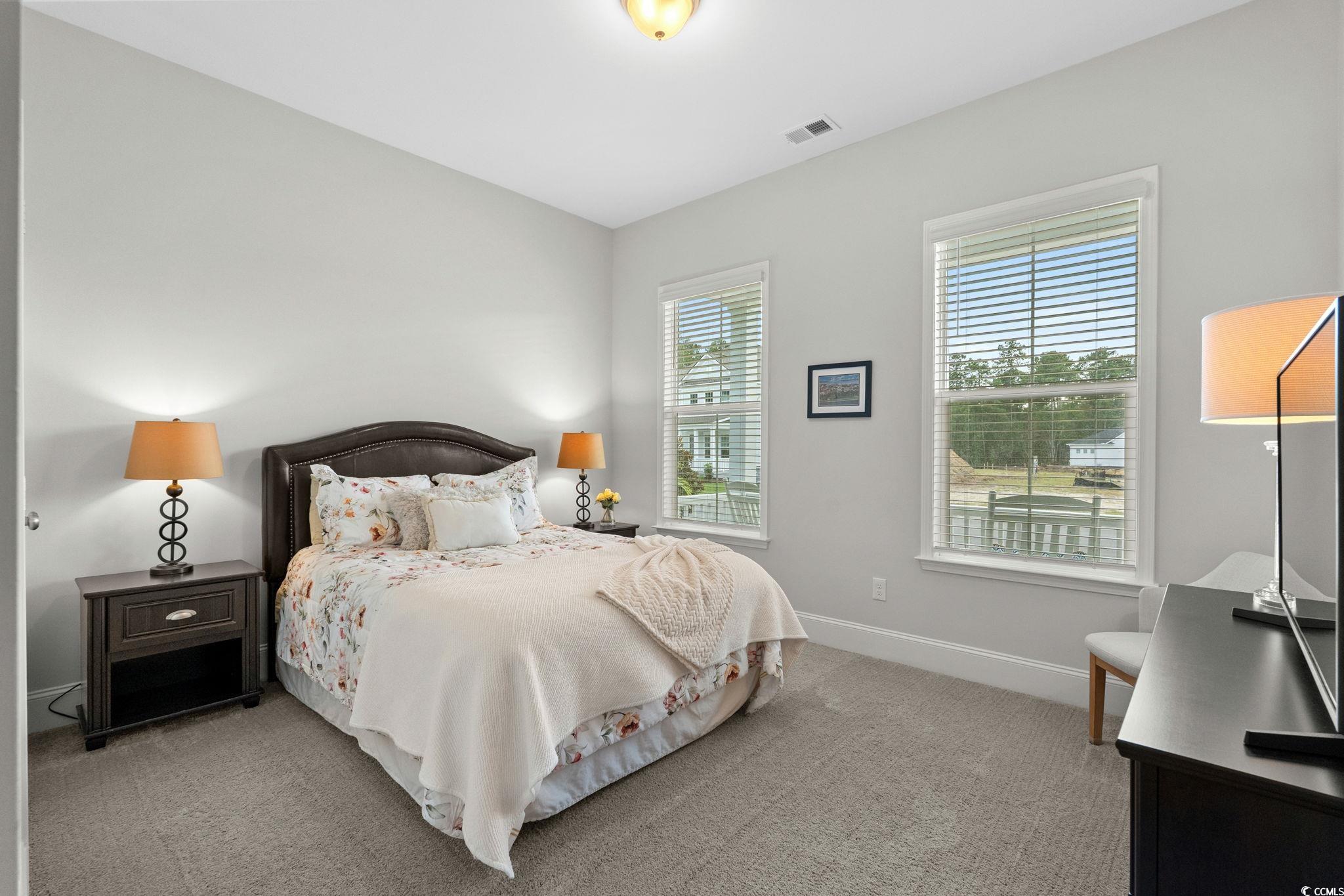 191 Blackwater Drive Murrells Inlet, SC 29576 - Photo 23 of 40 Bedroom with multiple windows and light carpet