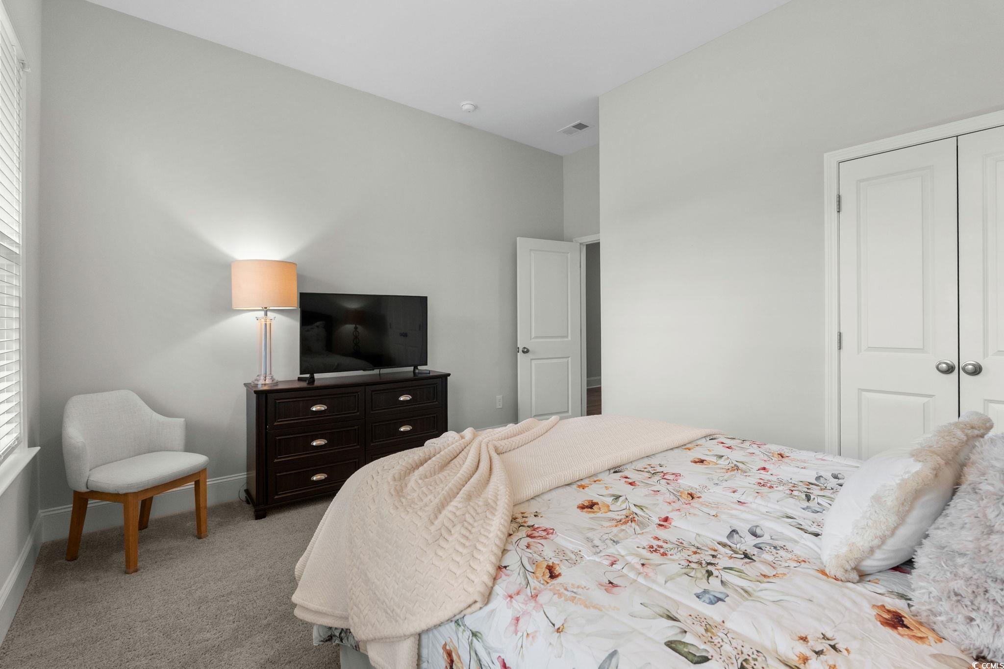 191 Blackwater Drive Murrells Inlet, SC 29576 - Photo 24 of 40 Bedroom featuring light carpet and a closet