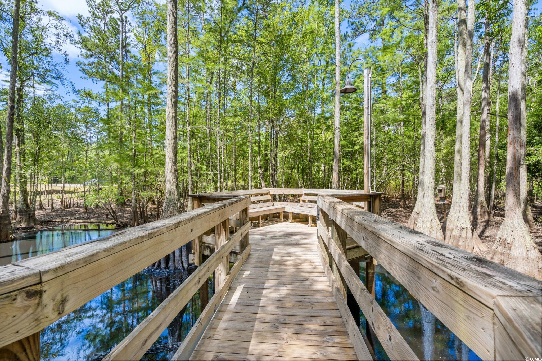 191 Blackwater Drive Murrells Inlet, SC 29576 - Photo 38 of 40 Prince Creek