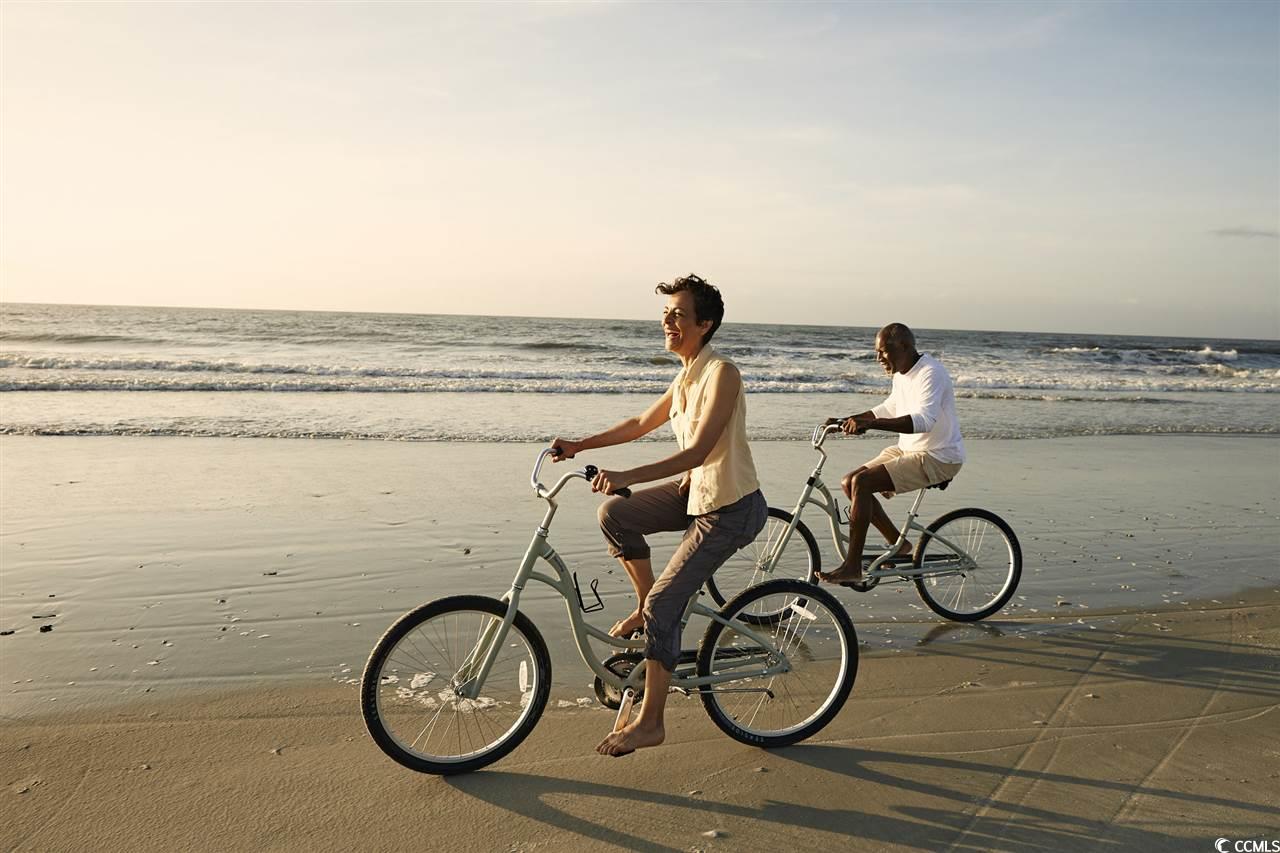 9700 Indigo Creek Boulevard Murrells Inlet, SC 29576 - Photo 28 of 39