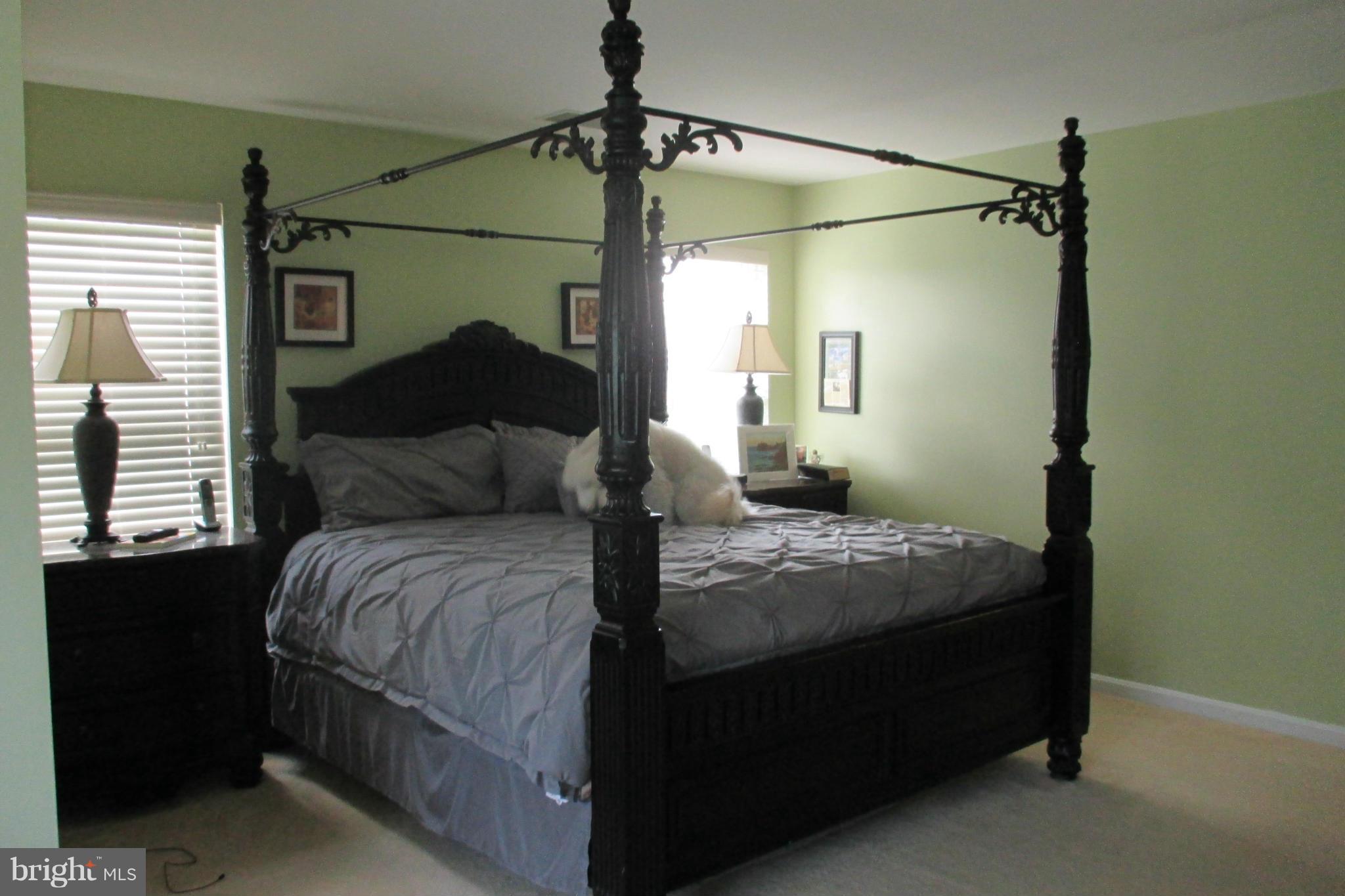 684 Blossom Tree Road Culpeper, VA 22701 - Photo 9 of 11 Bedroom (Master)