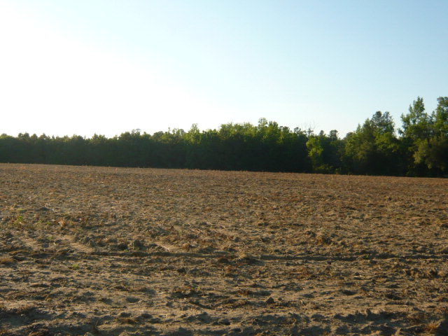 131 Rugged Road Neeses, SC 29107 - Photo 1 of 1 Main View