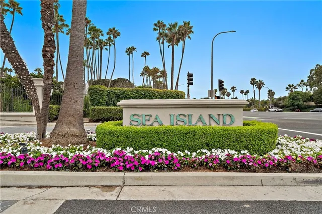 a view of a garden with flowers and trees