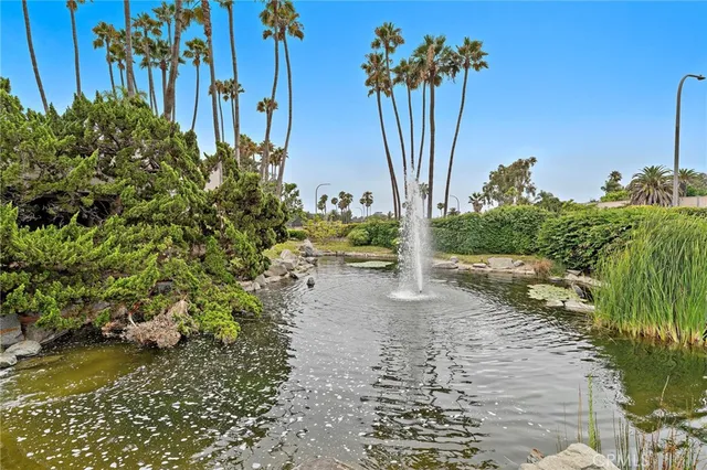 a view of a yard with plants and trees