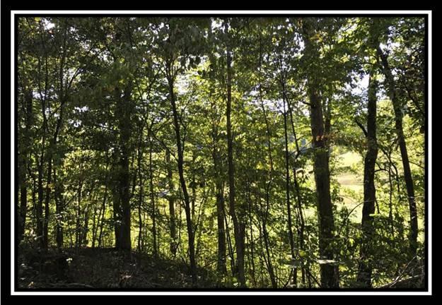 0 Webster-Hope Road South Webster, OH 45682 - Photo 1 of 7
