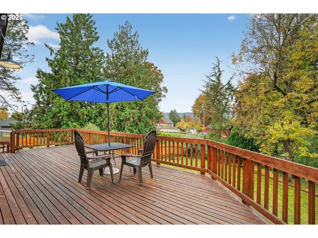 a view of a yard with plants