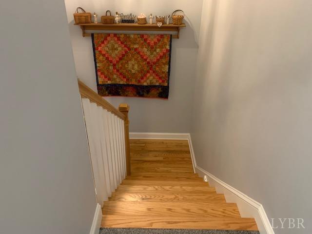 1013 Cobblestone Lane Forest, VA 24551 - Photo 36 of 51