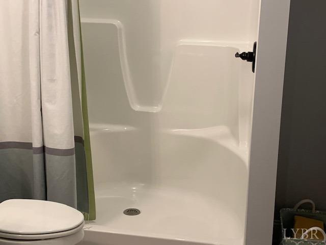 1013 Cobblestone Lane Forest, VA 24551 - Photo 42 of 51