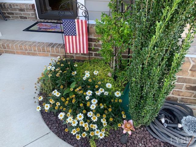 1013 Cobblestone Lane Forest, VA 24551 - Photo 47 of 51