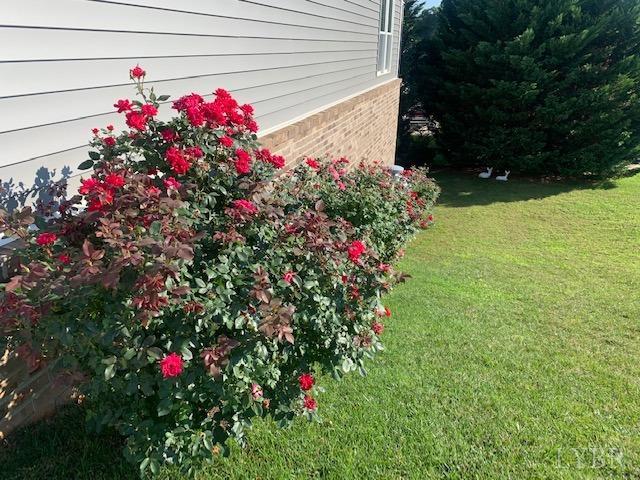 1013 Cobblestone Lane Forest, VA 24551 - Photo 49 of 51