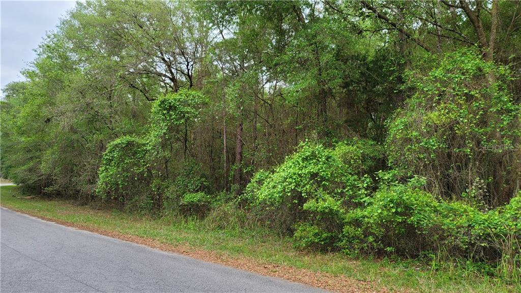 Southwest 86th Street Dunnellon, FL 34431 - Photo 1 of 1 Gallery Image 1