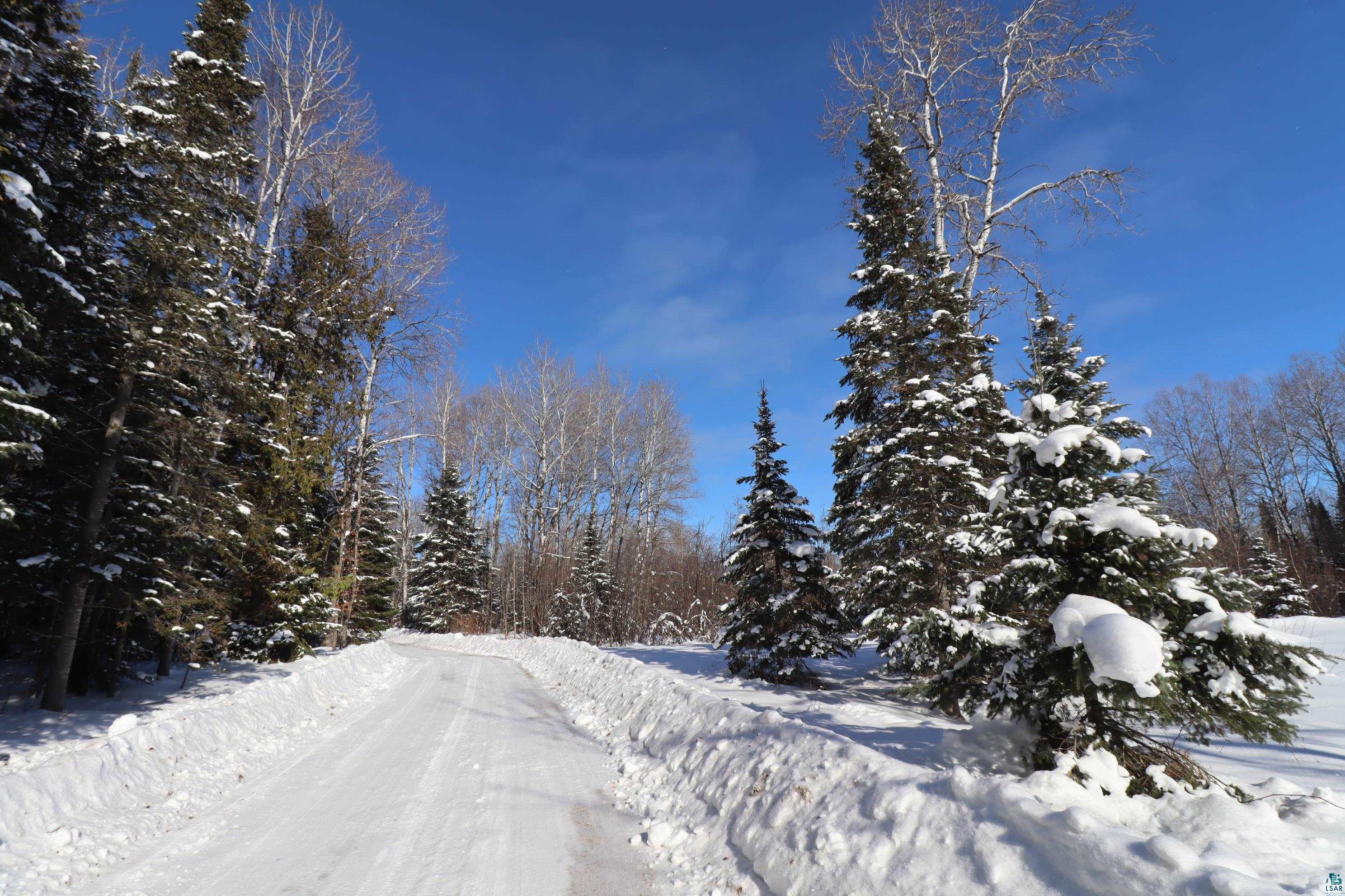 31715 Star Rte Road Bayfield, WI 54814 - Photo 2 of 63 Complete Seclusion