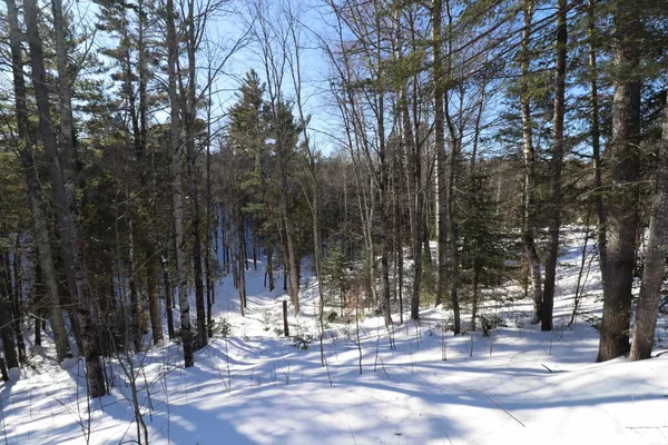 $399,900 | 31715 Star Rte Road, Bayfield, WI 54814