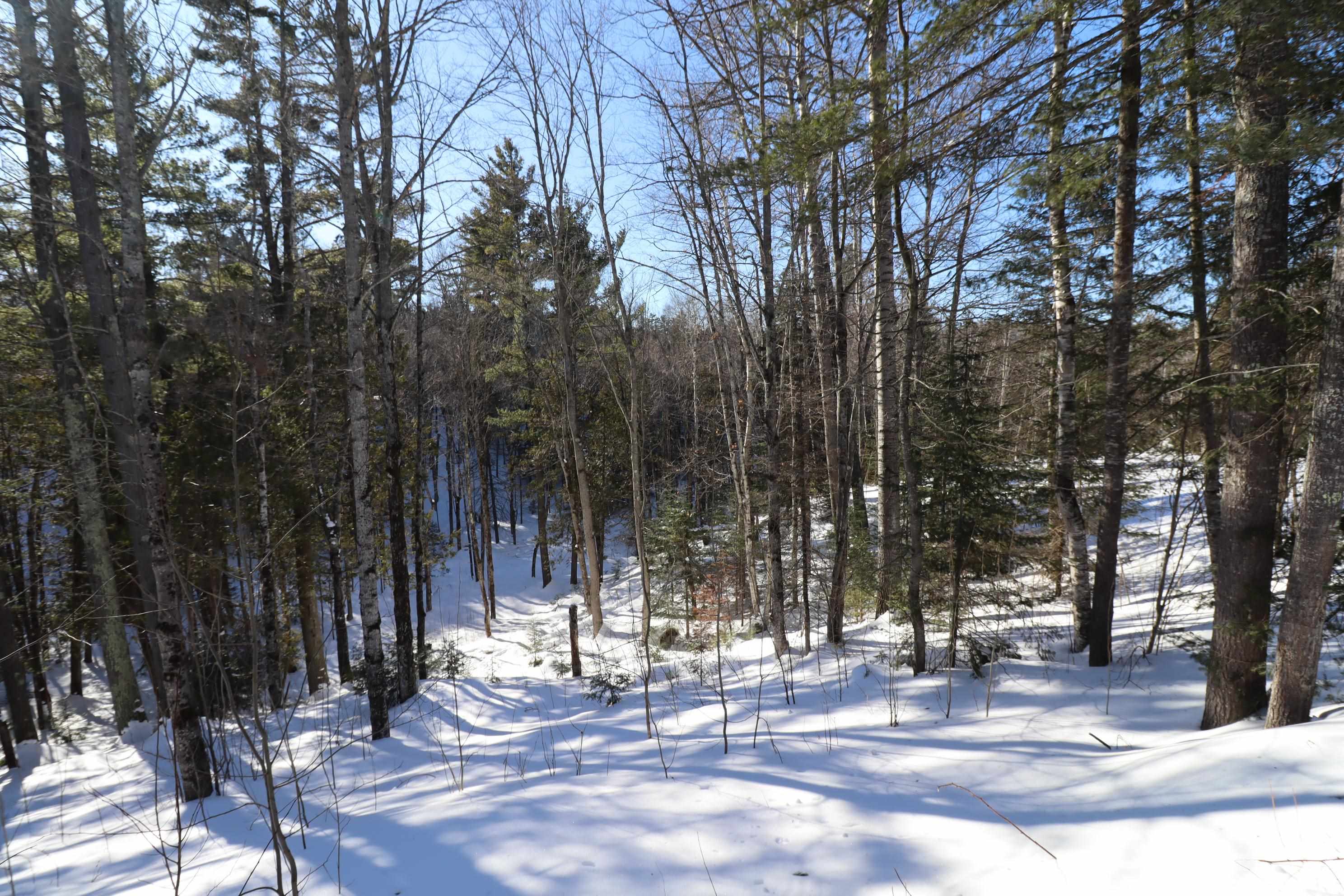 31715 Star Rte Road Bayfield, WI 54814 - Photo 28 of 63 View From Deck