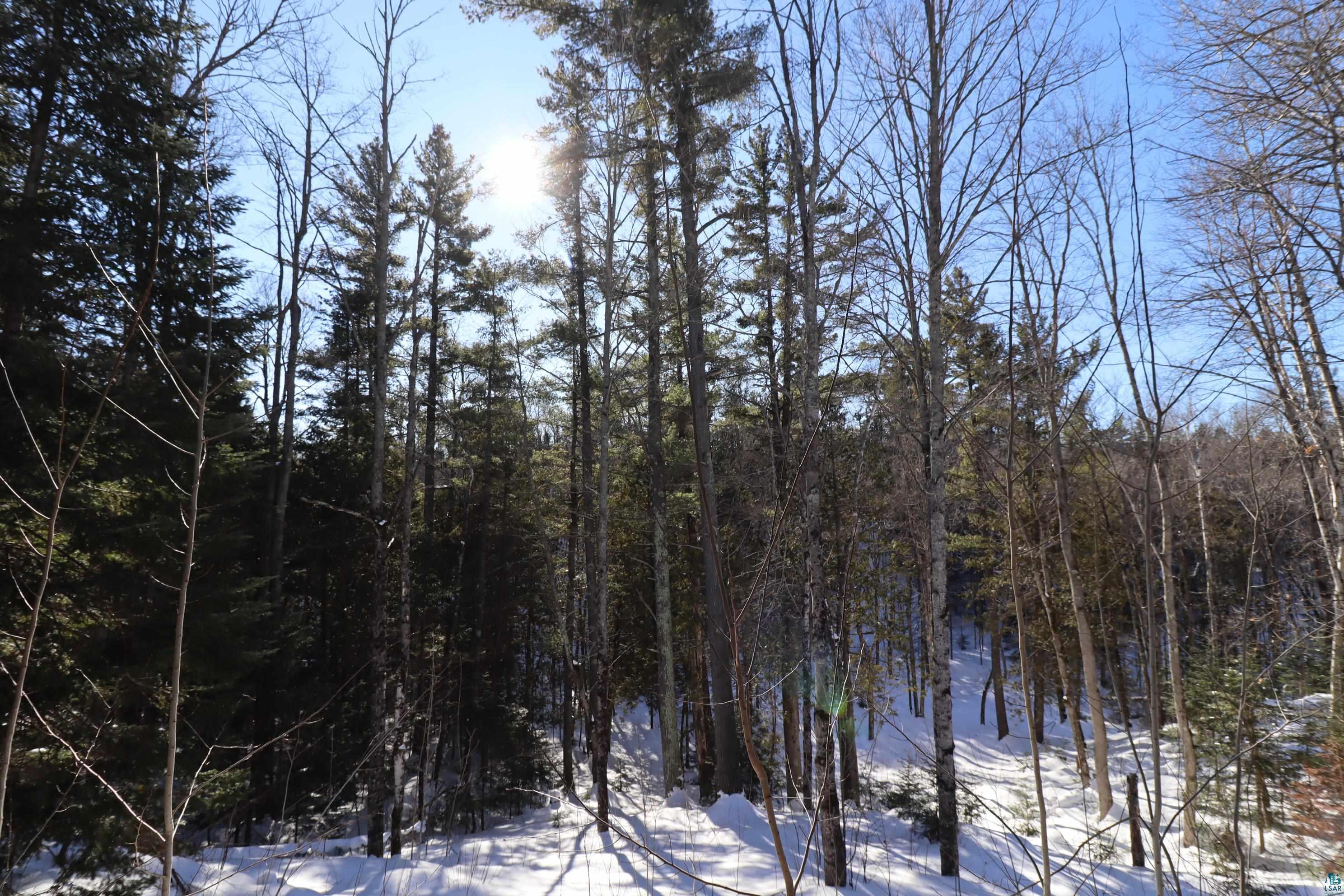 31715 Star Rte Road Bayfield, WI 54814 - Photo 30 of 63