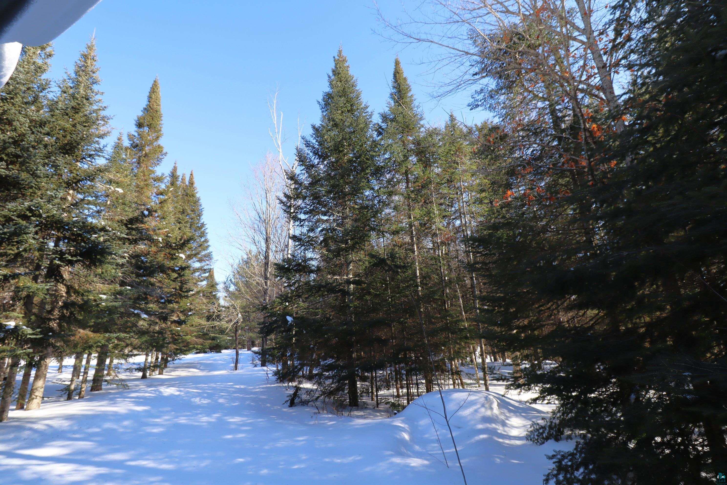 31715 Star Rte Road Bayfield, WI 54814 - Photo 61 of 63