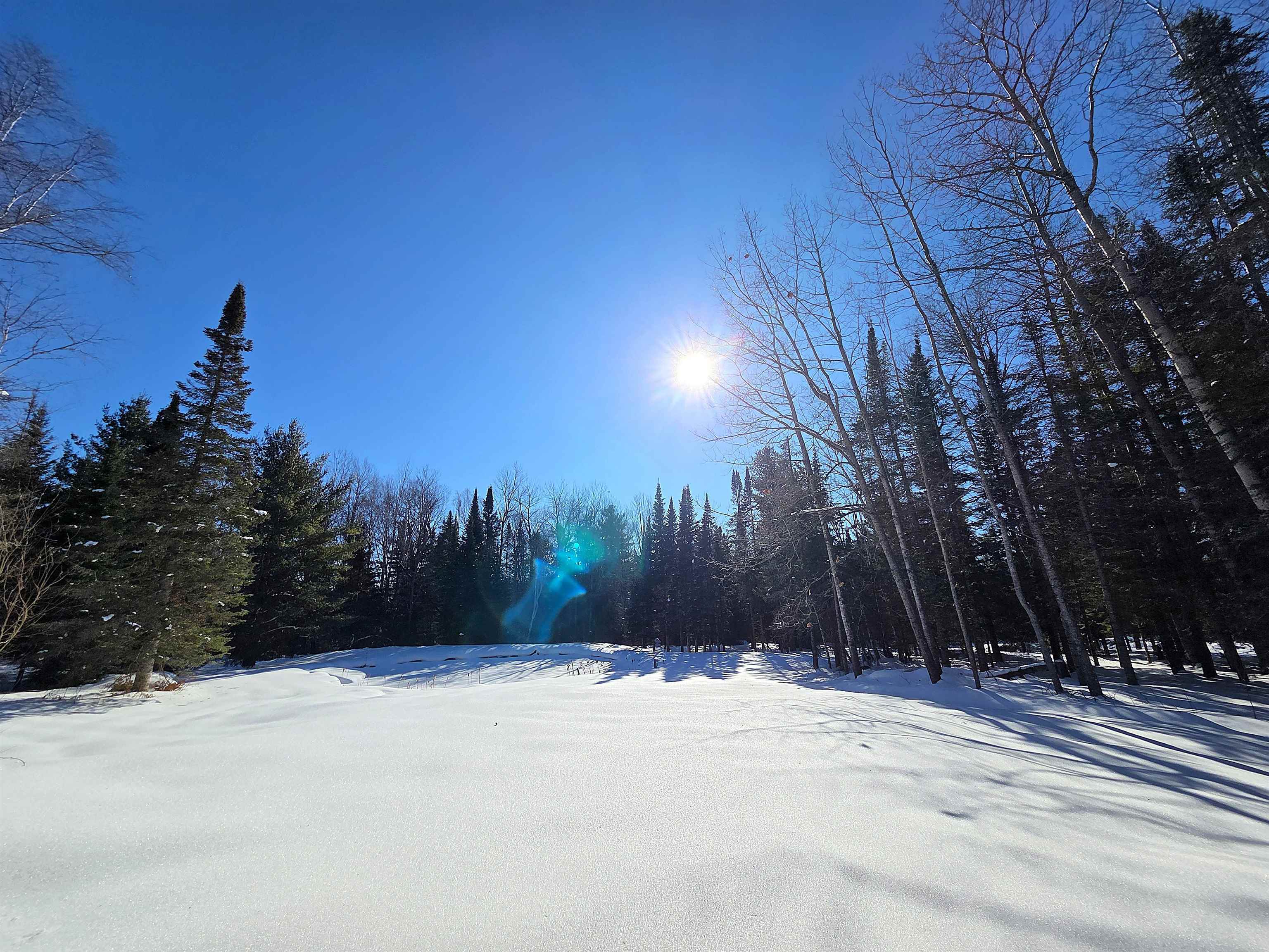 31715 Star Rte Road Bayfield, WI 54814 - Photo 7 of 63 View Of Pond
