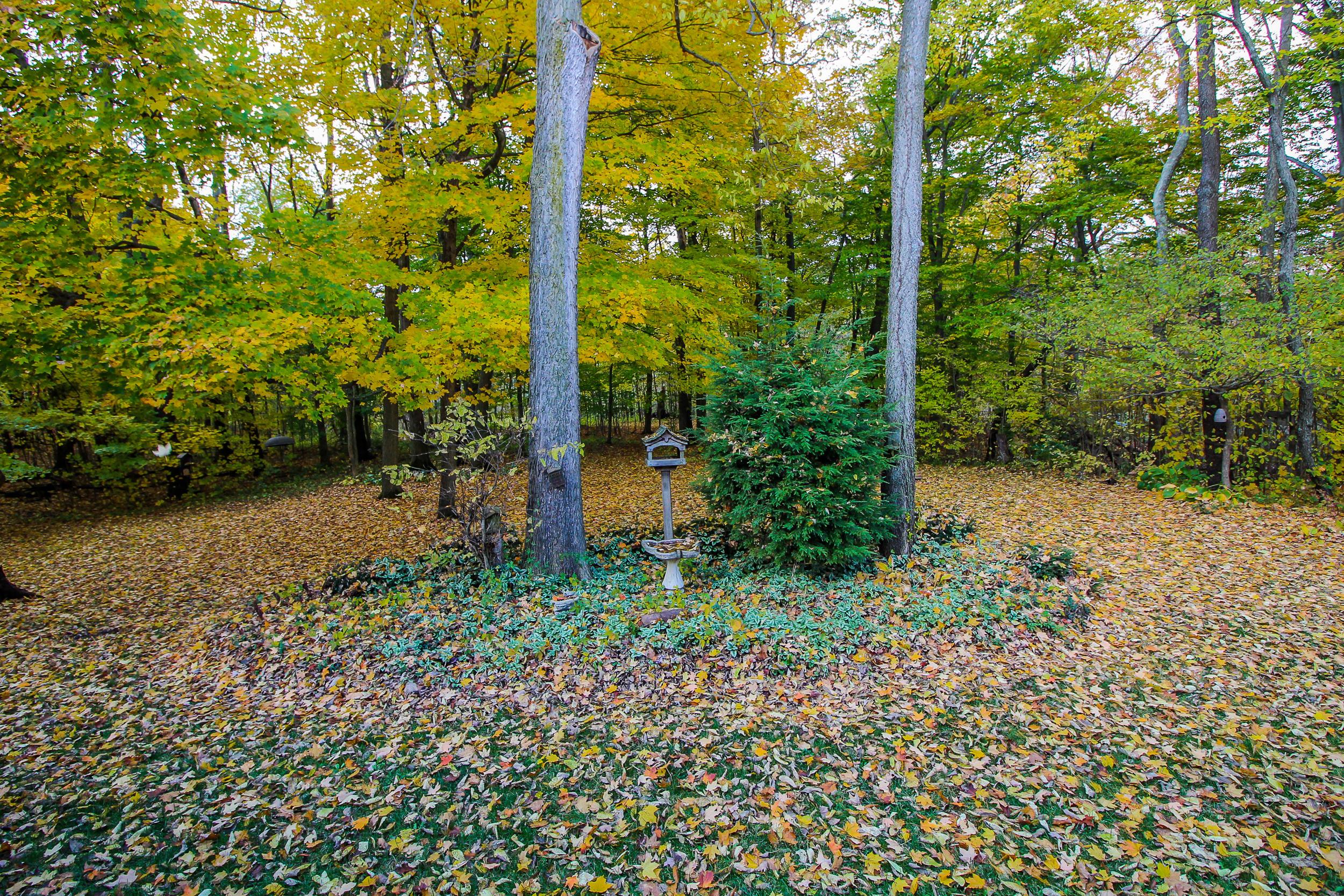 8853 Emahiser Road Caledonia, OH 43314 - Photo 26 of 48 Gallery Image 26