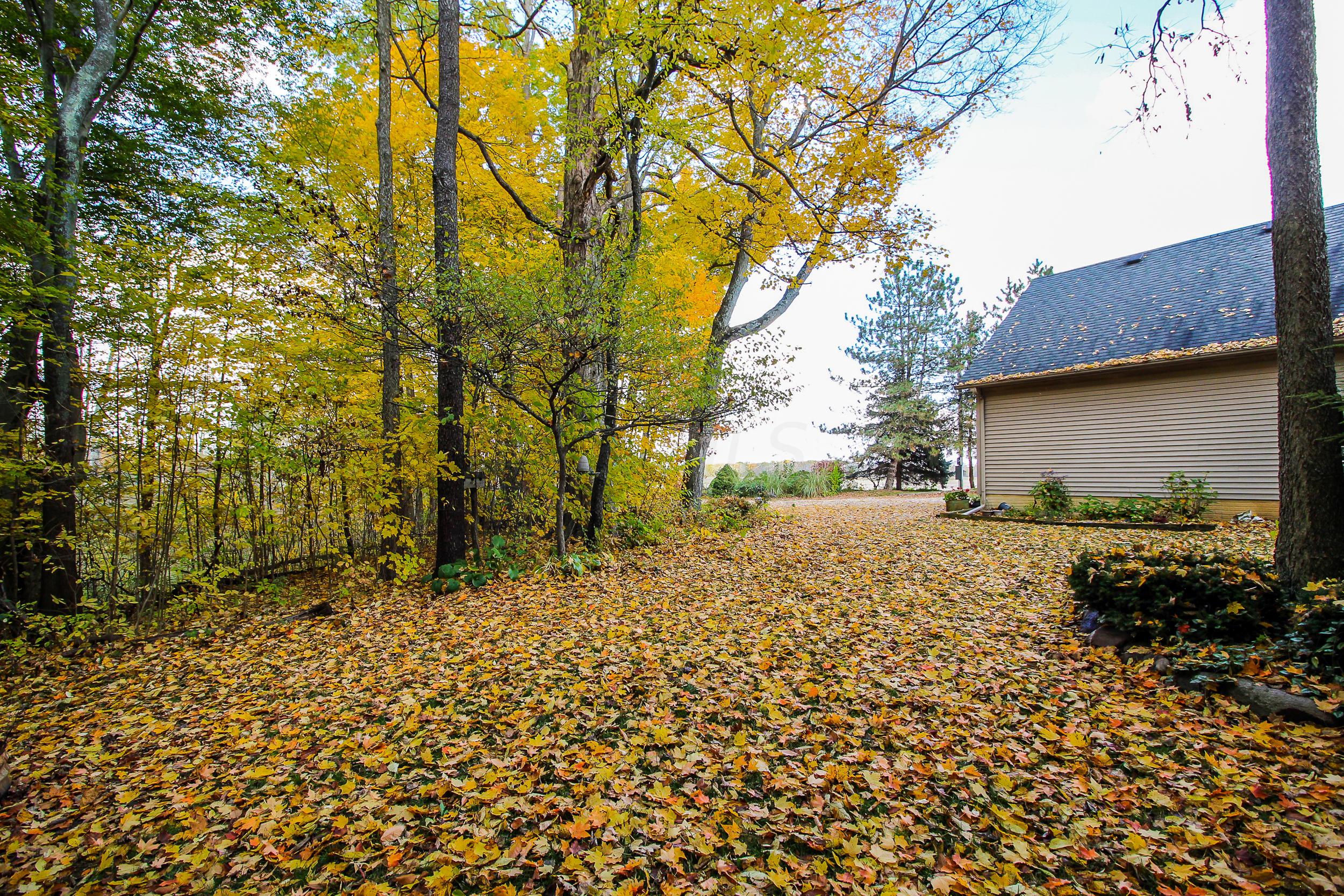 8853 Emahiser Road Caledonia, OH 43314 - Photo 29 of 48 Gallery Image 29