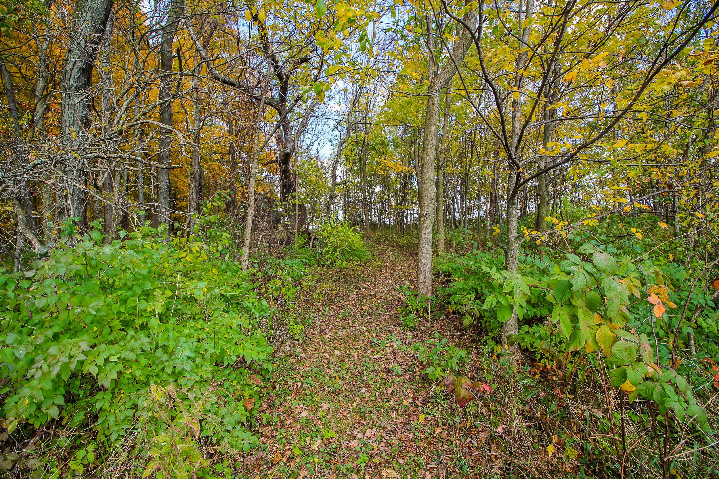 8853 Emahiser Road Caledonia, OH 43314 - Photo 41 of 48 Gallery Image 41