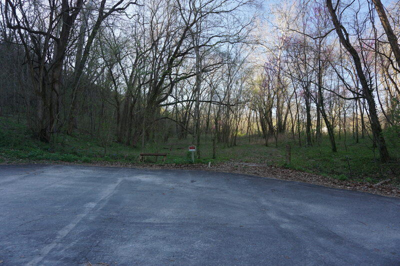 0 Iowa Colony Road Hollister, MO 65672 - Photo 2 of 23 DSC02592