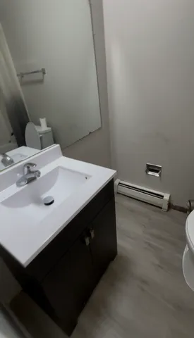 a bathroom with a sink vanity and a toilet