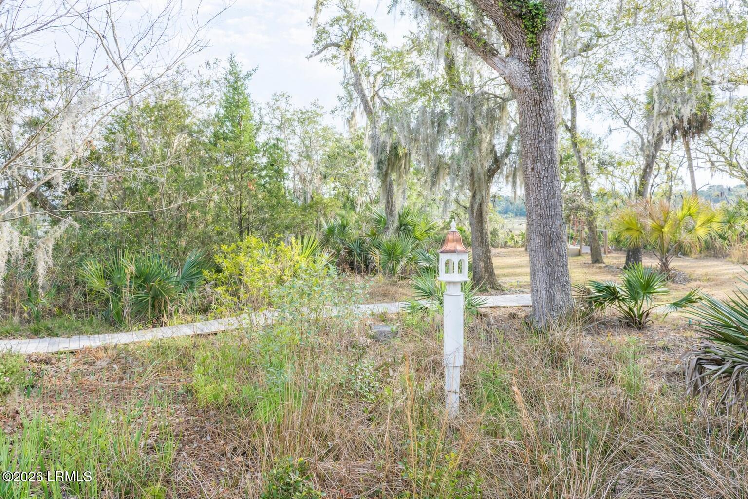 103 Bull Point Drive Seabrook, SC 29940 - Photo 56 of 71 103 Bull Point Drive - Yard