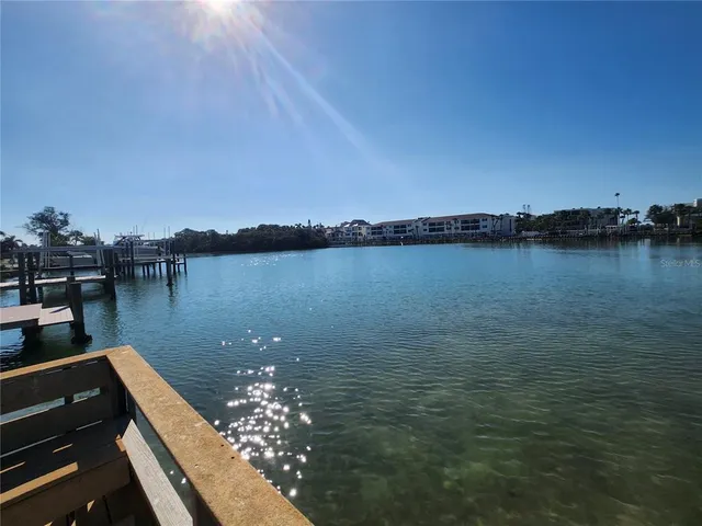 a close up of a flower pot