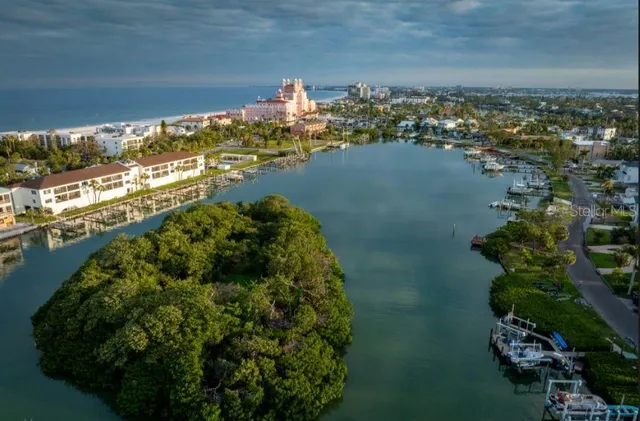 a view of a park with a palm tree