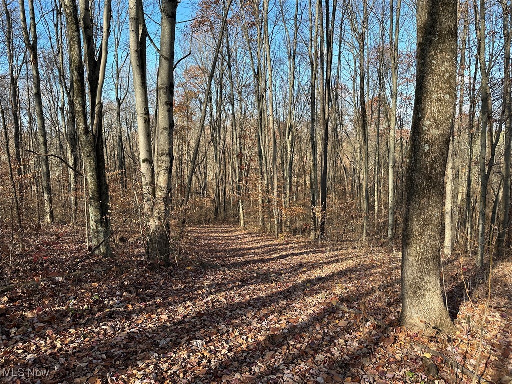 2305 Hardesty Road Norwich, OH 43767 - Photo 25 of 35 View of local wilderness