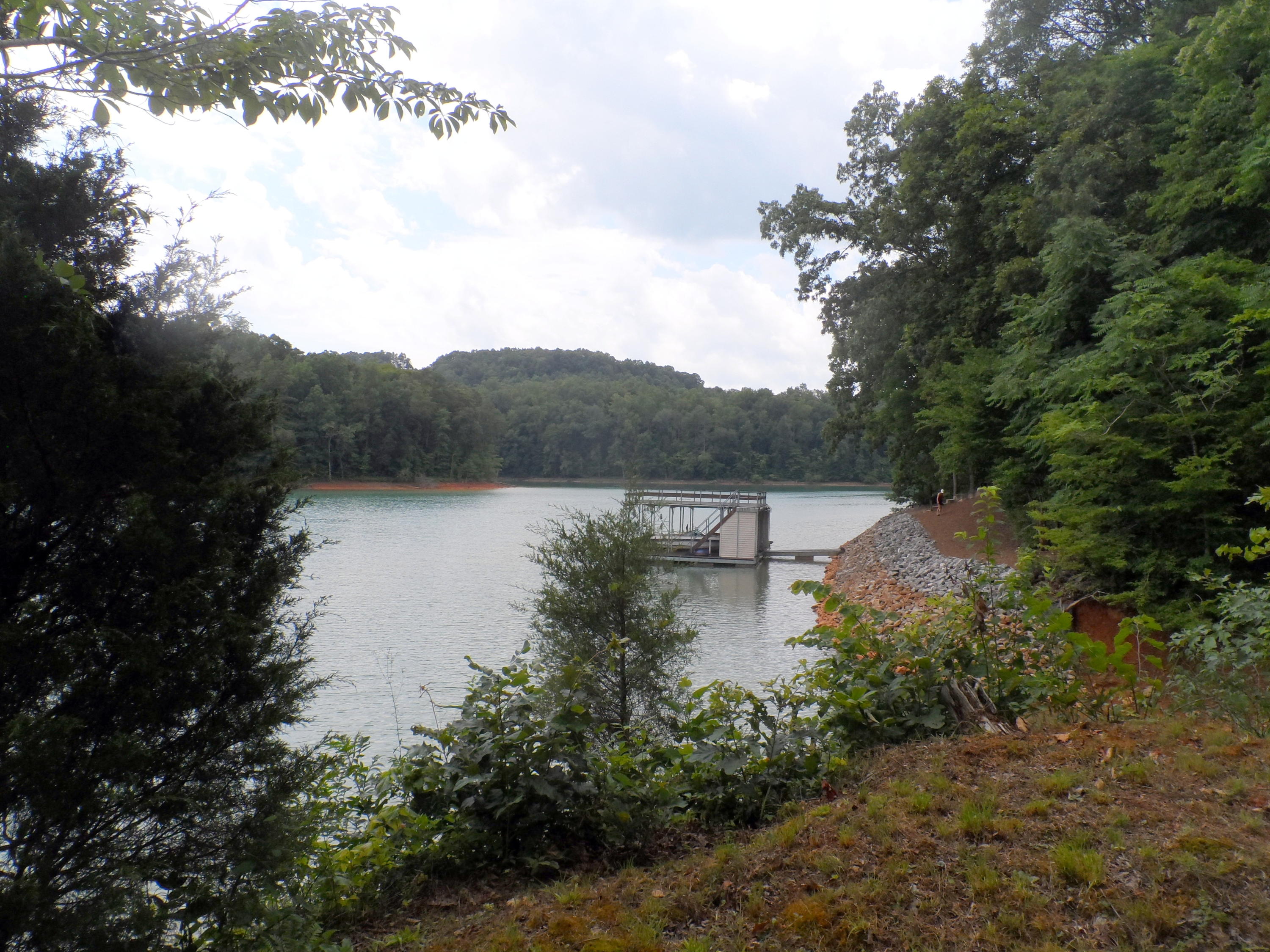 831 Cove Pointe Road La Follette, TN 37766 - Photo 35 of 37 SAM_5893