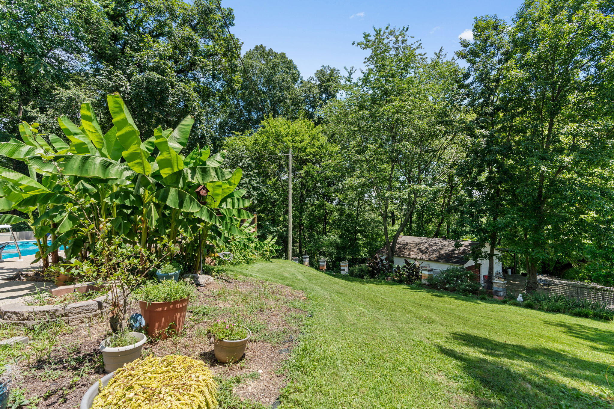 4522 Cloverdale Loop Hixson, TN 37343 - Photo 60 of 65 9-web-or-mls-4522 cloverdale loop-tori r