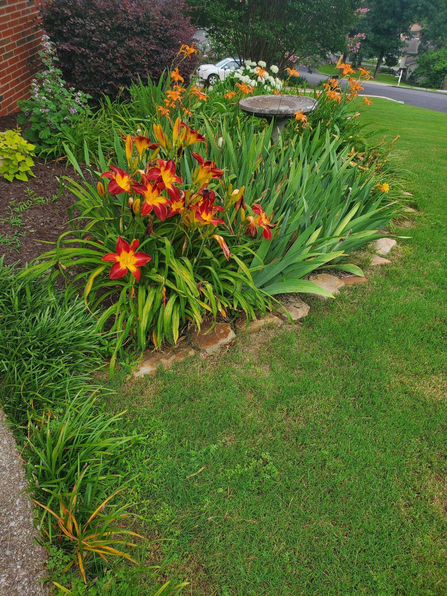 4522 Cloverdale Loop Hixson, TN 37343 - Photo 62 of 65 20250607_152638