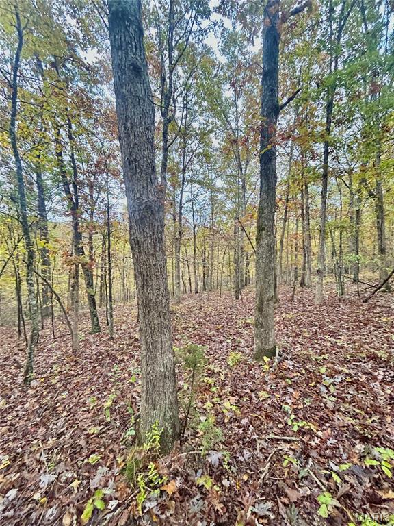 4 County Road 4215 Salem, MO 65560 - Photo 11 of 21