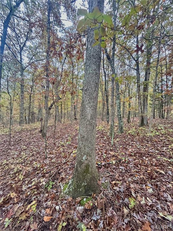 4 County Road 4215 Salem, MO 65560 - Photo 12 of 21