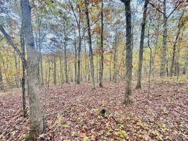 $64,900 | 4 County Road 4215, Salem, MO 65560