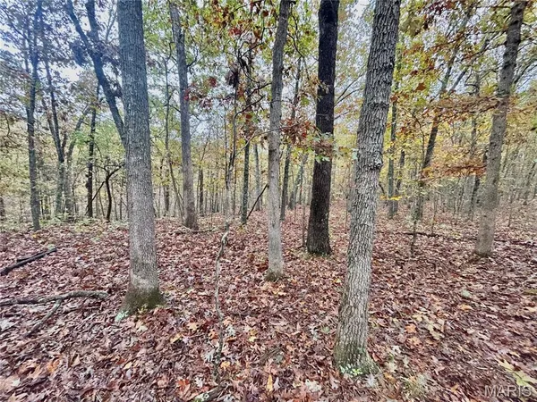 $61,900 | 4 County Road 4215, Salem, MO 65560