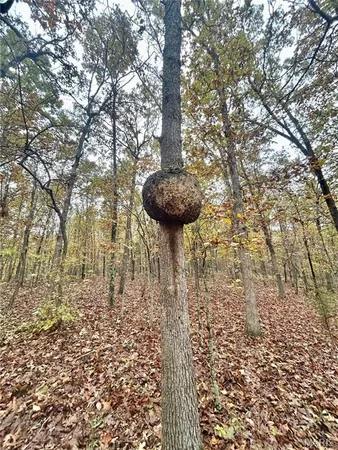 $61,900 | 4 County Road 4215, Salem, MO 65560