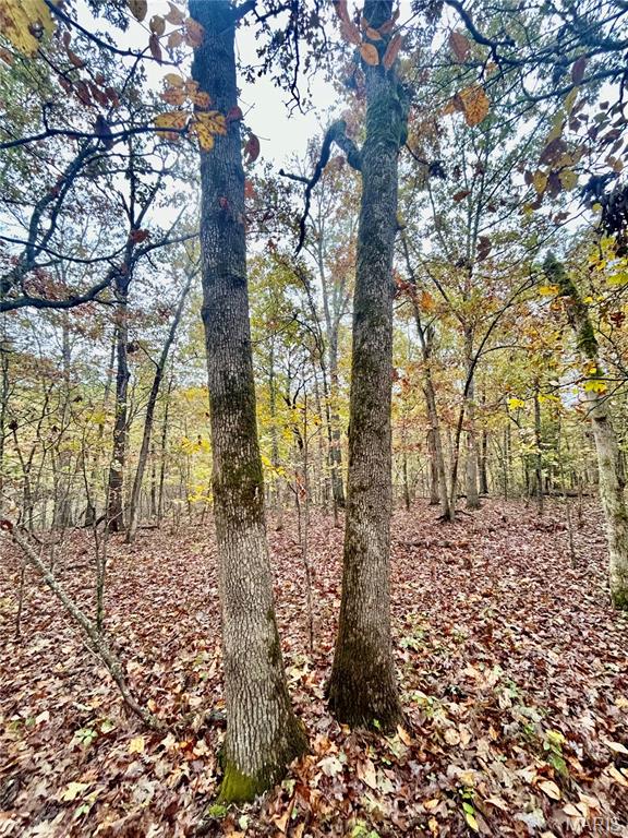 4 County Road 4215 Salem, MO 65560 - Photo 16 of 21