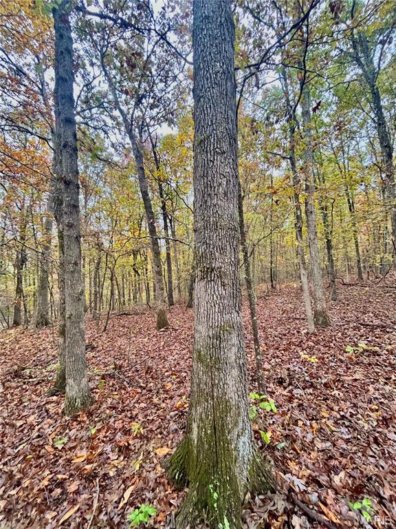 4 County Road 4215 Salem, MO 65560 - Photo 17 of 21